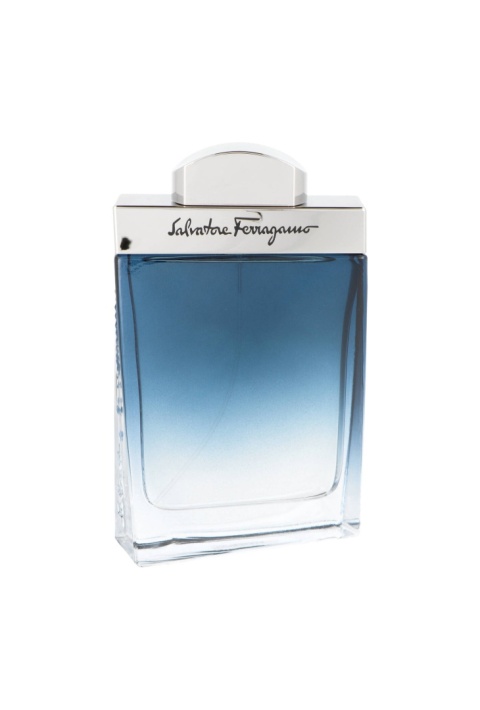 Salvatore Ferragamo Subtil Pour Homme Edt 100ml Salvatore Ferragamo Subtil Pour Homme Edt 100ml