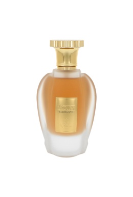 Paris Corner Emir Voux Elegante Edp 100ml