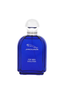 Tester Jaguar For Men Evolution Edt 100ml