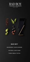 Carolina Herrera Bad Boy Edt 100ml